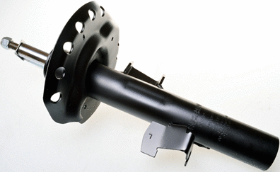 Shock Absorber (DSB266G)