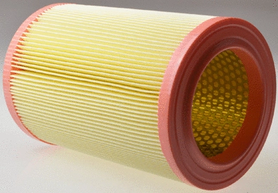Air Filter (A141733)