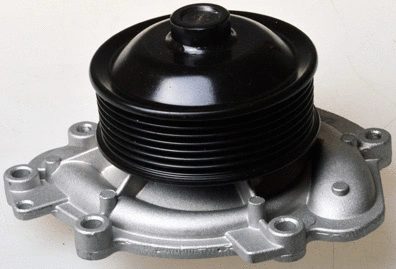 Water Pump, engine cooling (A310951P)