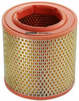 Air Filter (A140246)