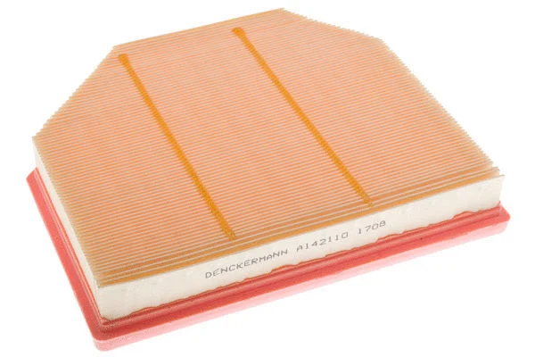 Air Filter (A142110)