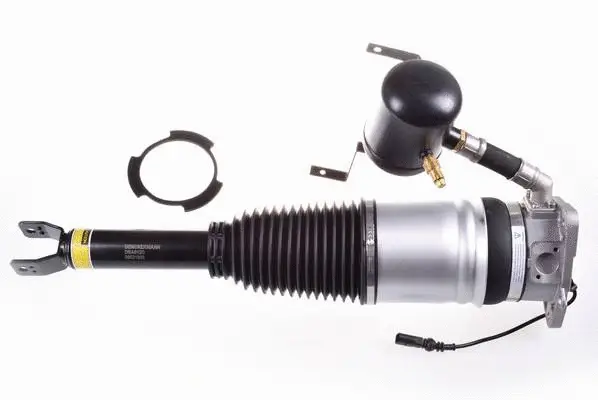 Air Suspension Strut (DSA012G)