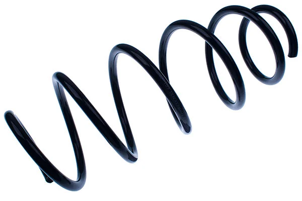 Suspension Spring (D700109)