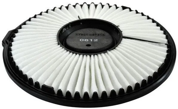Air Filter (A140353)