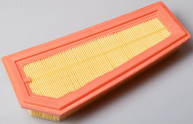 Air Filter (A141686)