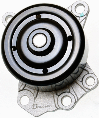 Water Pump, engine cooling (A310832P)