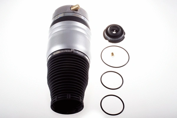 Air Spring, suspension (DSA114G)