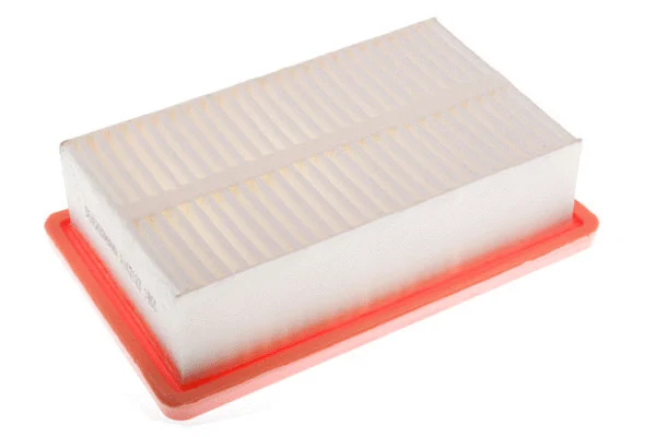 Air Filter (A142123)