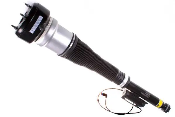 Air Suspension Strut (DSA007G)