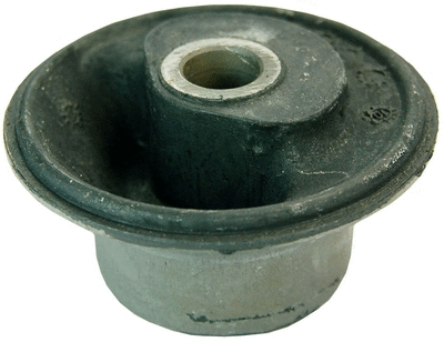Bushing, axle beam (D300028)