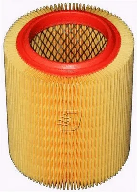 Air Filter (A141445)