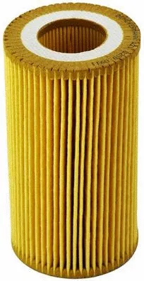 Oil Filter (A210250)