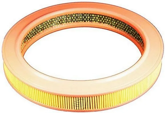 Air Filter (A141214)