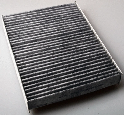 Filter, cabin air (M110840K)