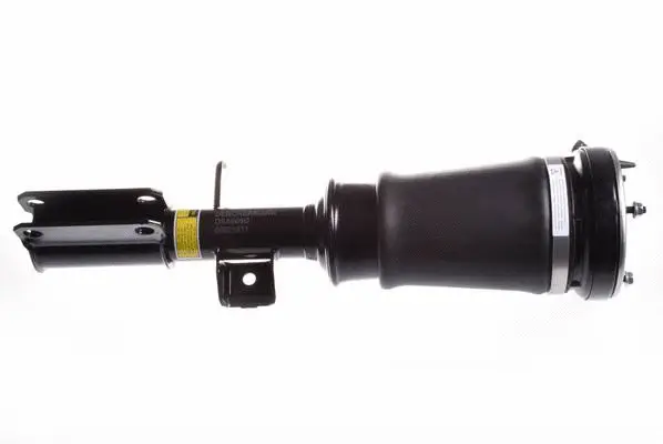 Air Suspension Strut (DSA009G)