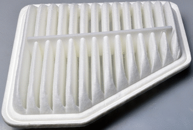Air Filter (A140819)