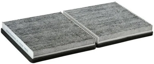 Filter, cabin air (M110058)
