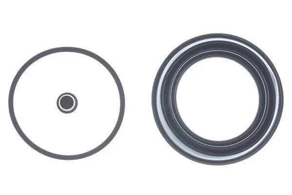 Repair Kit, brake caliper (B200008)