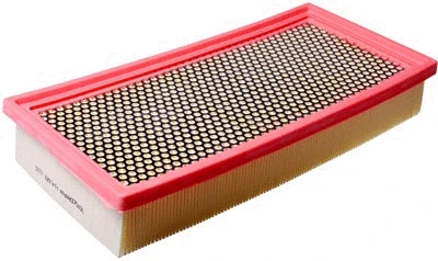Air Filter (A141689)