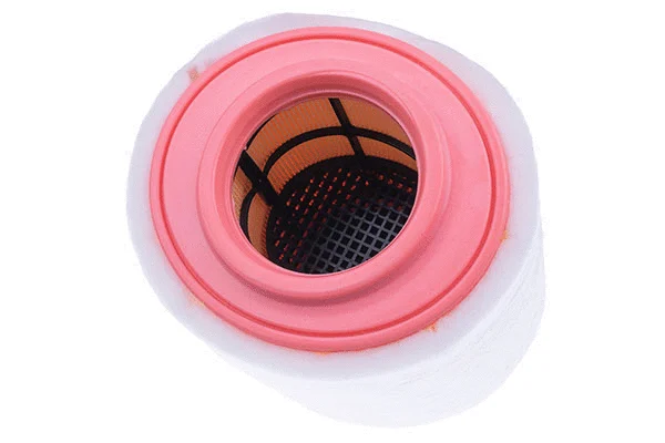 Air Filter (A146973)