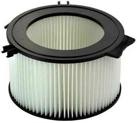 Filter, cabin air (M110009)