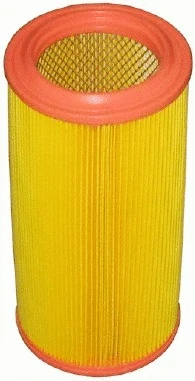 Air Filter (A141375)