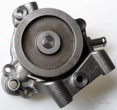 Water Pump, engine cooling (A310941P)