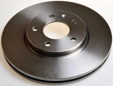 Brake Disc (B130500)