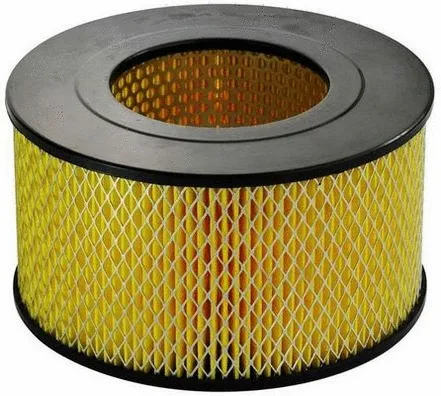 Air Filter (A140279)