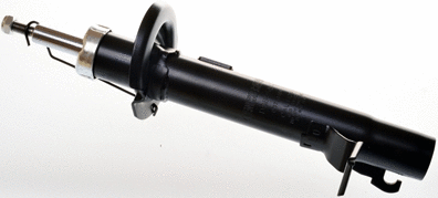 Shock Absorber (DSB255G)