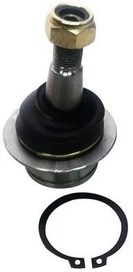 Ball Joint (D120186)