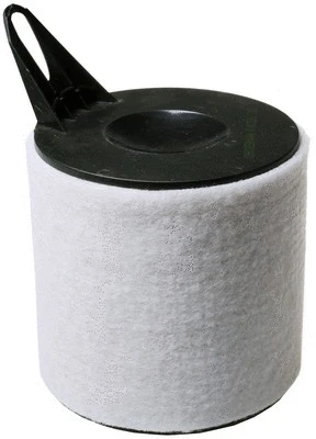 Air Filter (A141226)