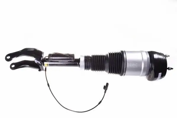Air Suspension Strut (DSA018G)