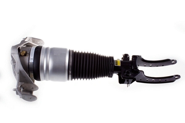 Air Suspension Strut (DSA014G)