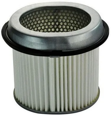 Air Filter (A140113)