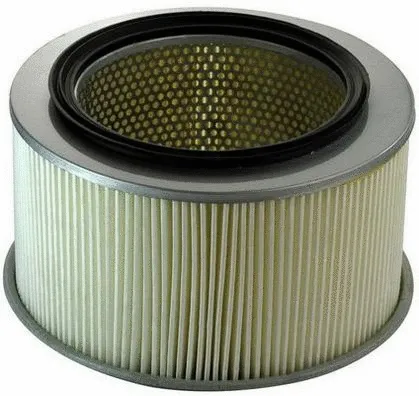 Air Filter (A140354)