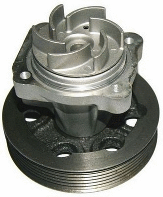 Water Pump, engine cooling (A310509P)