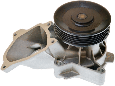 Water Pump, engine cooling (A310900P)