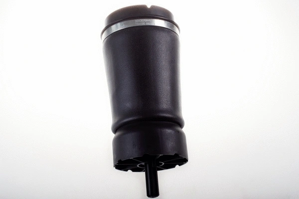 Air Spring, suspension (DSA112G)