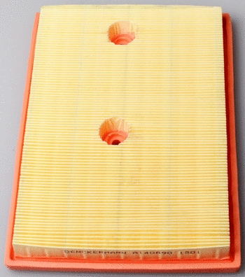 Air Filter (A140890)