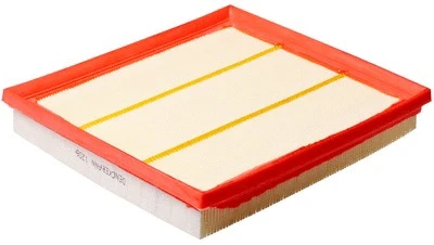 Air Filter (A141287)