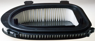 Air Filter (A141707)