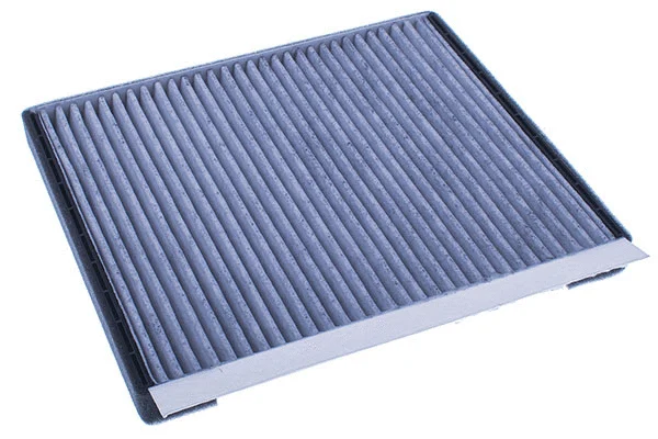 Filter, cabin air (M110538K)