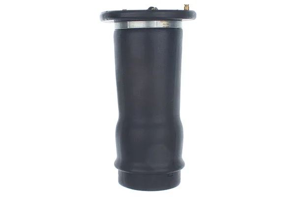 Air Spring, suspension (DSA122G)