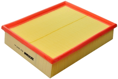Air Filter (A140042)