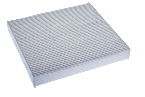 Filter, cabin air (M110919)