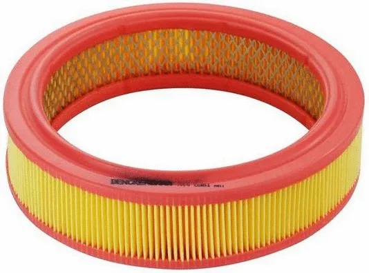 Air Filter (A140361)