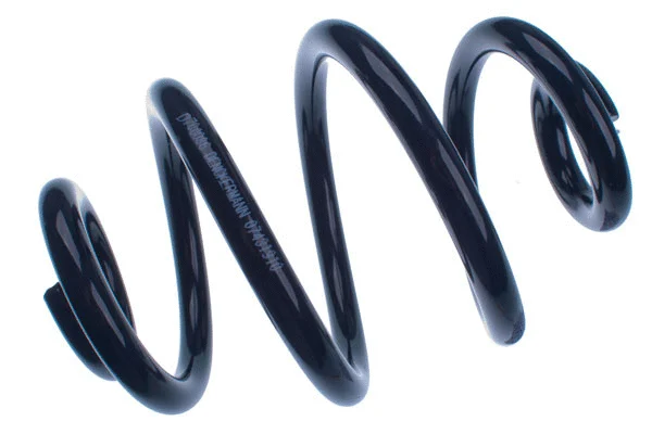 Suspension Spring (D700086)