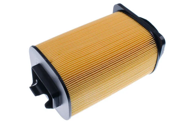 Air Filter (A141791)