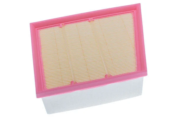 Air Filter (A146945)